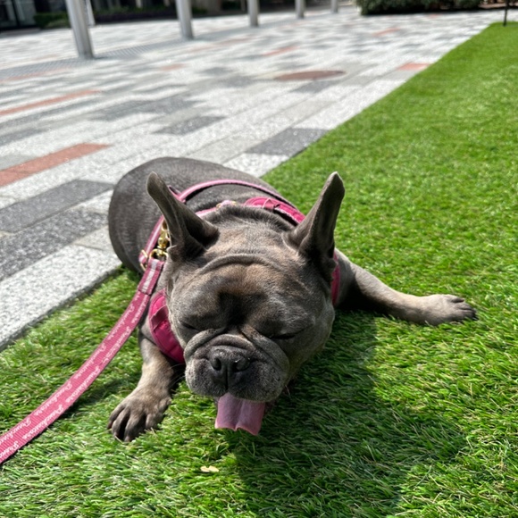 Meet your Posher, Anette - Picture 2 of 2